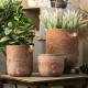 Cement Designed Pot and Vase